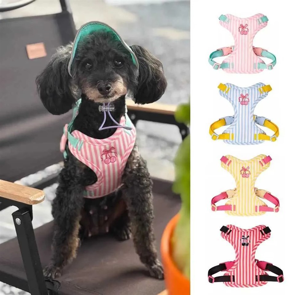 Puppy Harness And Leash Set factory