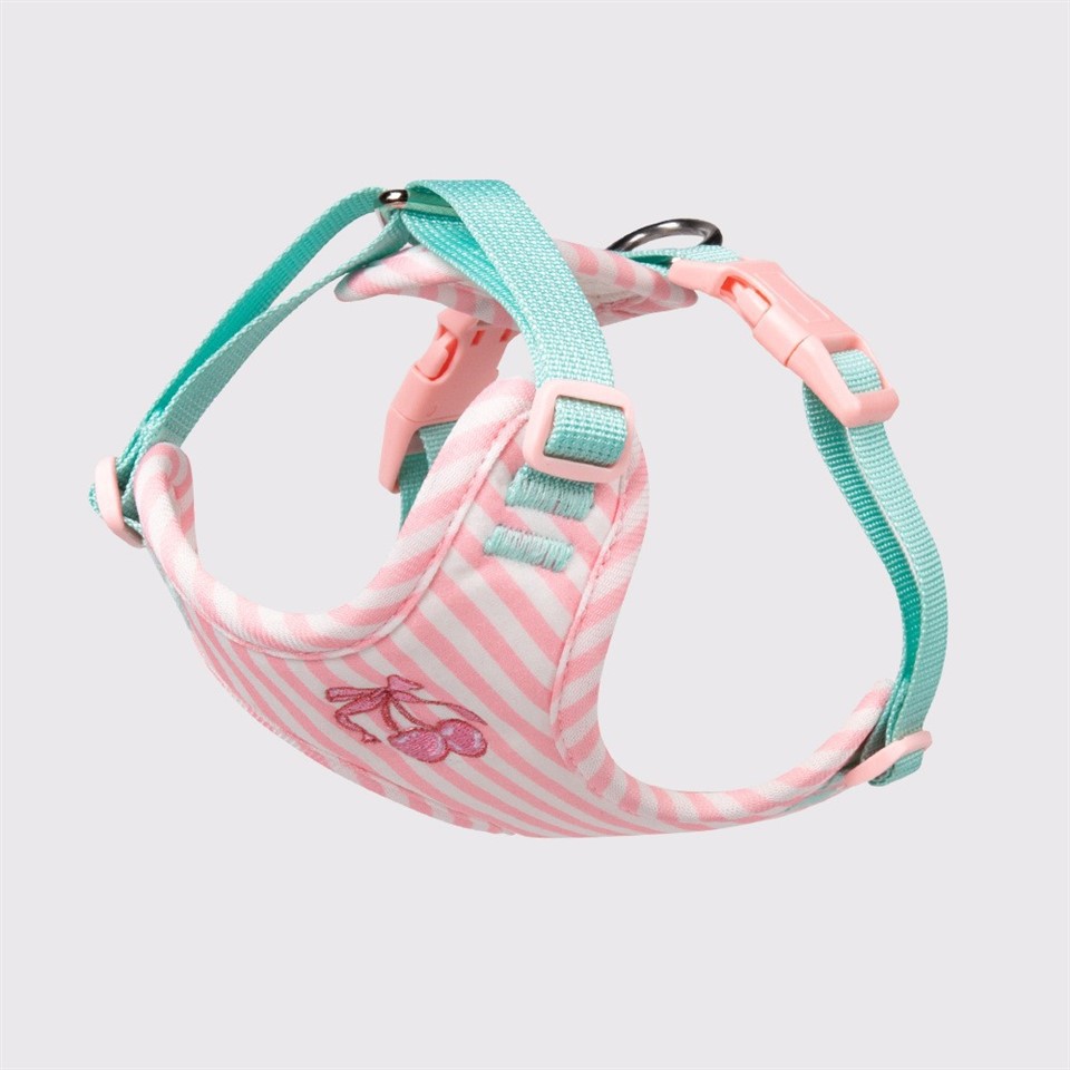 Puppy Harness And Leash Set high quality