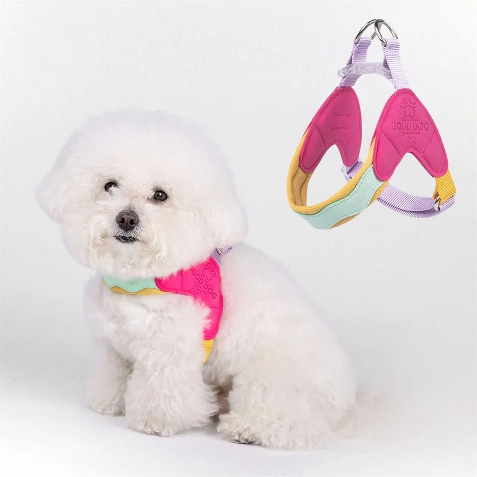 Ċineg Puppy Għall Klieb Żgħar